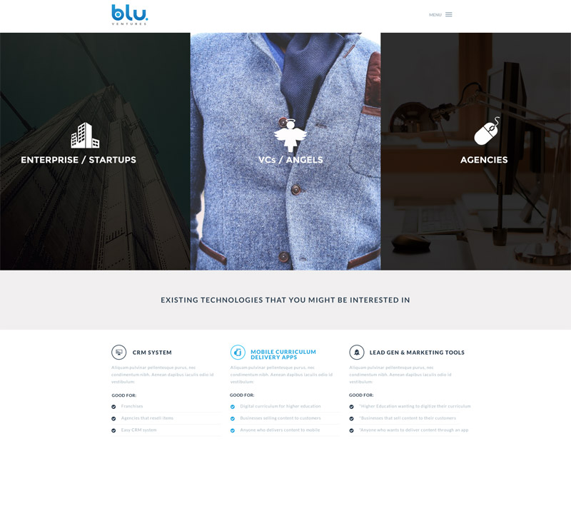 Blu Ventures